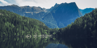 Increase psychological safety at work with training