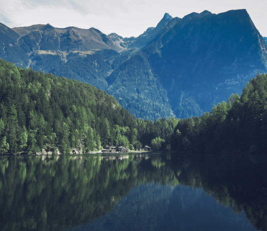 Increase psychological safety at work with training